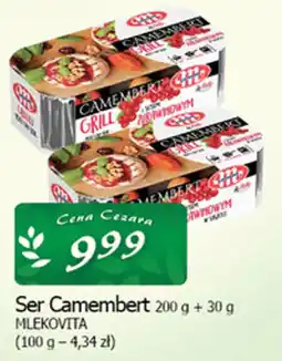 Cezar Delikatesy Ser Camembert MLEKOVITA oferta