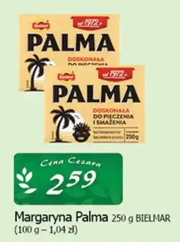 Cezar Delikatesy Margaryna Palma oferta
