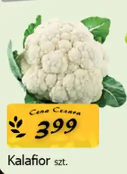 Cezar Delikatesy Kalafior oferta