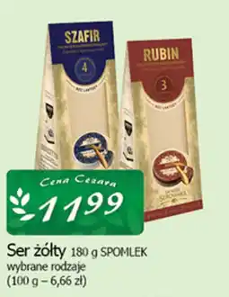 Cezar Delikatesy Ser żółty SPOMLEK oferta