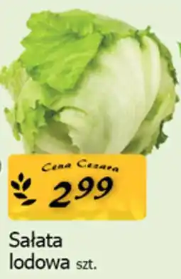 Cezar Delikatesy Sałata lodowa oferta