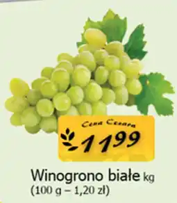 Cezar Delikatesy Winogrono białe oferta