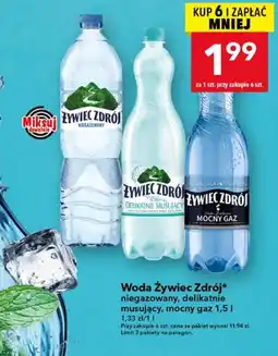 Lewiatan Woda Żywiec Zdrój niegazowany, delikatnie musujący, mocny gaz oferta