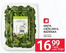 Selgros Mięta Baziółka oferta