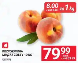 Selgros BRZOSKWINIA MIĄŻSZ ŻÓŁTY oferta