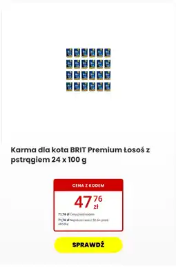 Media Expert Karma dla kota BRIT Premium łosoś z pstrągiem oferta