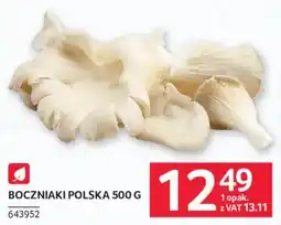 Selgros Boczniaki Polska oferta
