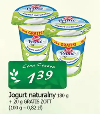 Cezar Delikatesy Jogurt naturalny Zott oferta