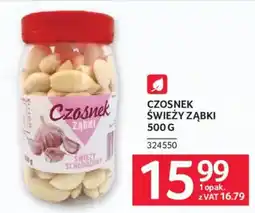 Selgros Czosnek Ząbki oferta