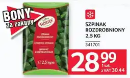 Selgros Szpinak Rozdrobniony Hortex oferta
