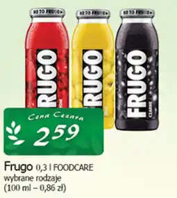 Cezar Delikatesy Frugo 0,3 l FOODCARE oferta