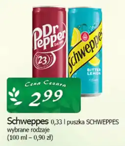 Cezar Delikatesy Schweppes oferta