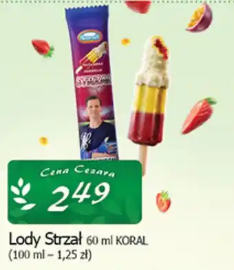 Cezar Delikatesy Lody Strzał KORAL oferta