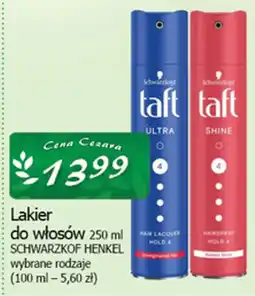 Cezar Delikatesy Lakier do włosów SCHWARZKOF HENKEL oferta