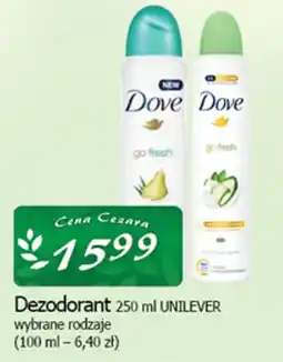 Cezar Delikatesy Dezodorant UNILEVER oferta