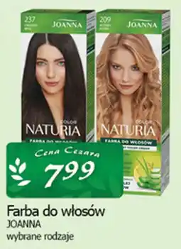 Cezar Delikatesy Farba do włosów JOANNA wybrane rodzaje oferta