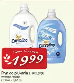 Cezar Delikatesy Płyn do płukania 3 | UNILEVER oferta
