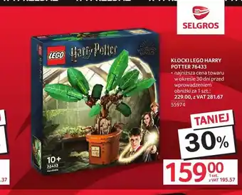Selgros Klocki LEGO Harry Potter 76433 oferta