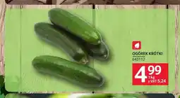 Selgros Ogórek krótki oferta