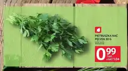 Selgros Pietruszka nać pęczek oferta