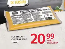 Selgros Sos serowy Cheddar Hochland Professional oferta