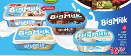 Selgros Lody Big Milk Śmietankowo Orzechowy oferta