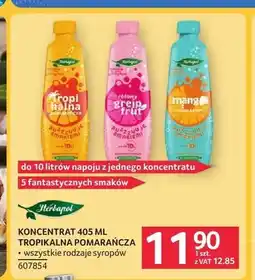 Selgros Koncentrat Herbapol Tropikalna Pomarańcza oferta