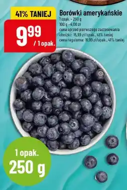 Polomarket Borówki amerykańskie oferta