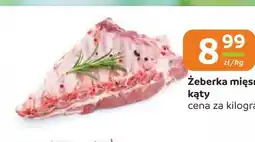 Społem Częstochowa Żeberka mięsne kąty oferta