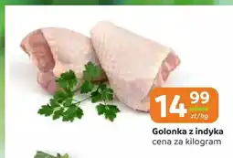 Społem Częstochowa Golonka z indyka oferta