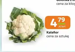 Społem Częstochowa Kalafior oferta