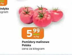 Społem Częstochowa Pomidory malinowe Polska oferta