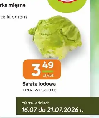 Sałata lodowa