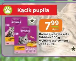 Społem Częstochowa Karma sucha dla kota Whiskas oferta