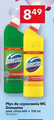 Lewiatan Płyn do czyszczenia WC Domestos Pine oferta