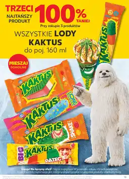 Kaufland Lody Kaktus oferta