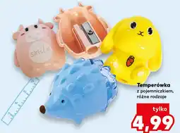 Kaufland Temperówka z pojemniczkiem oferta