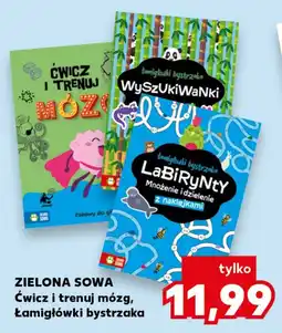 Kaufland Łamigłówki bystrzaka oferta