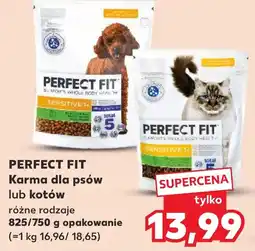 Kaufland PERFECT FIT Karma dla psów lub kotów oferta