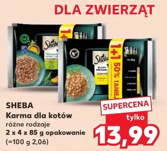 Kaufland Karma dla kotów oferta