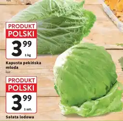 Intermarche Kapusta pekińska młoda oferta