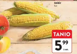 Intermarche Imbir luz oferta