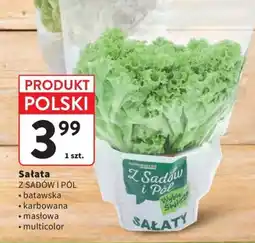 Intermarche Sałata Z SADÓW I PÓL oferta