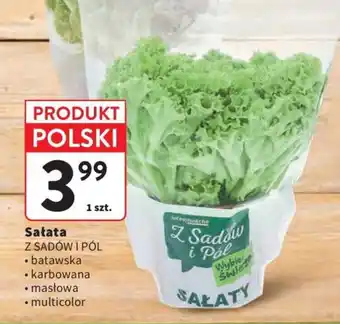 Intermarche Sałata Z SADÓW I PÓL oferta