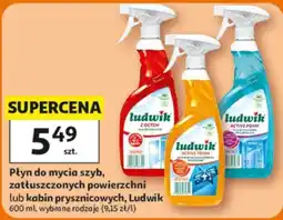 Auchan Płyn do mycia szyb, zatłuszczonych powierzchni lub kabin prysznicowych, Ludwik oferta