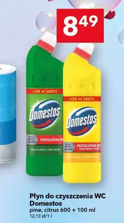 Lewiatan Płyn do czyszczenia wc Domestos oferta