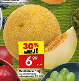 Twój Market Melon Galia oferta