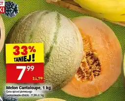 Twój Market Melon Cantaloupe oferta