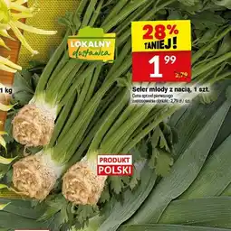 Twój Market Seler młody z nacią oferta