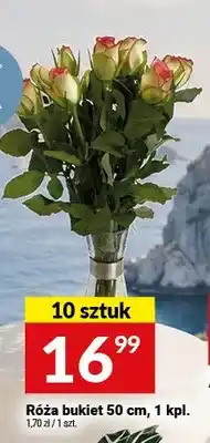 Twój Market Róża bukiet oferta